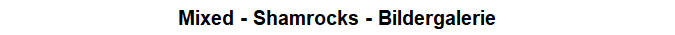 Mixed - Shamrocks - Bildergalerie